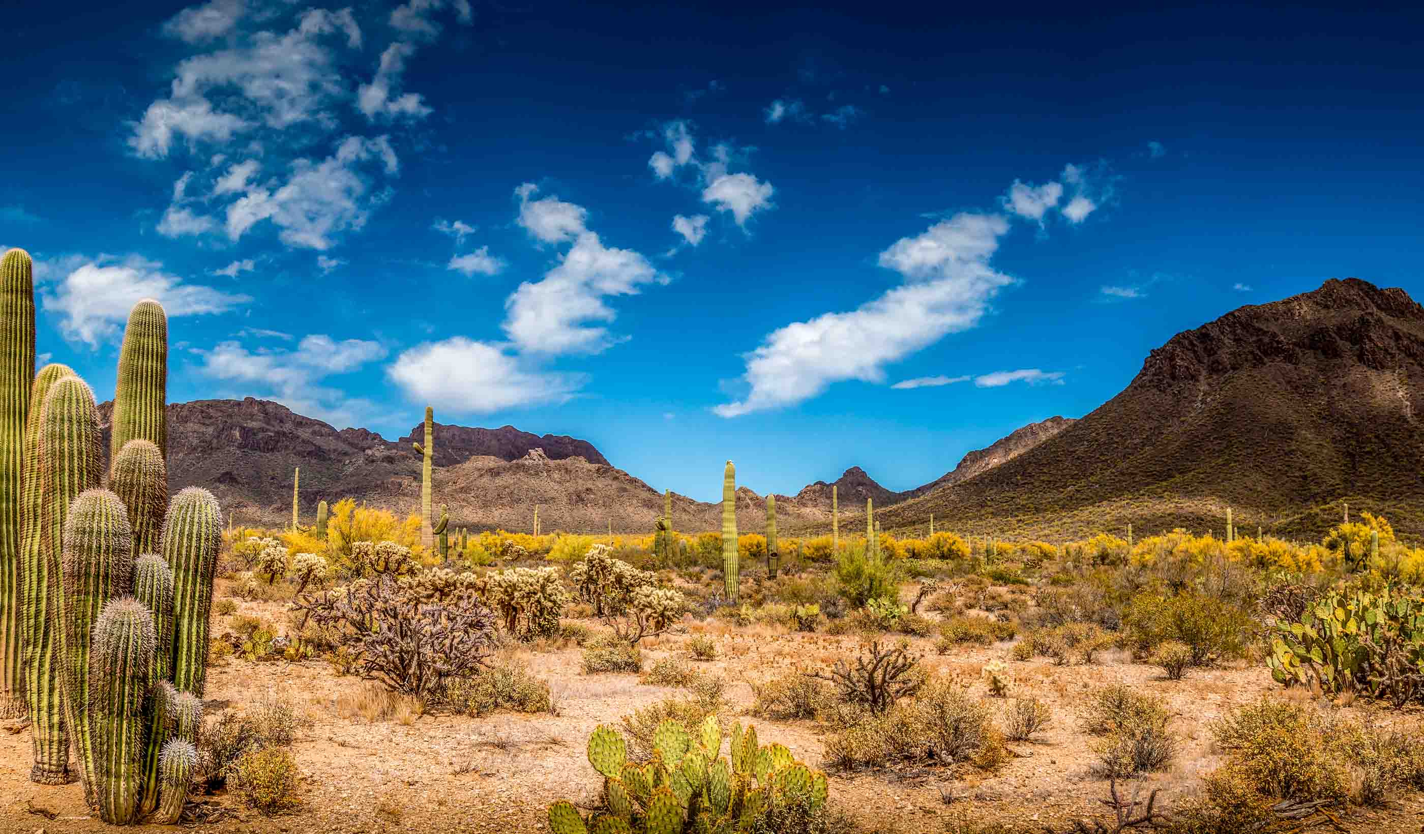 How does a mine site in the desert find water?