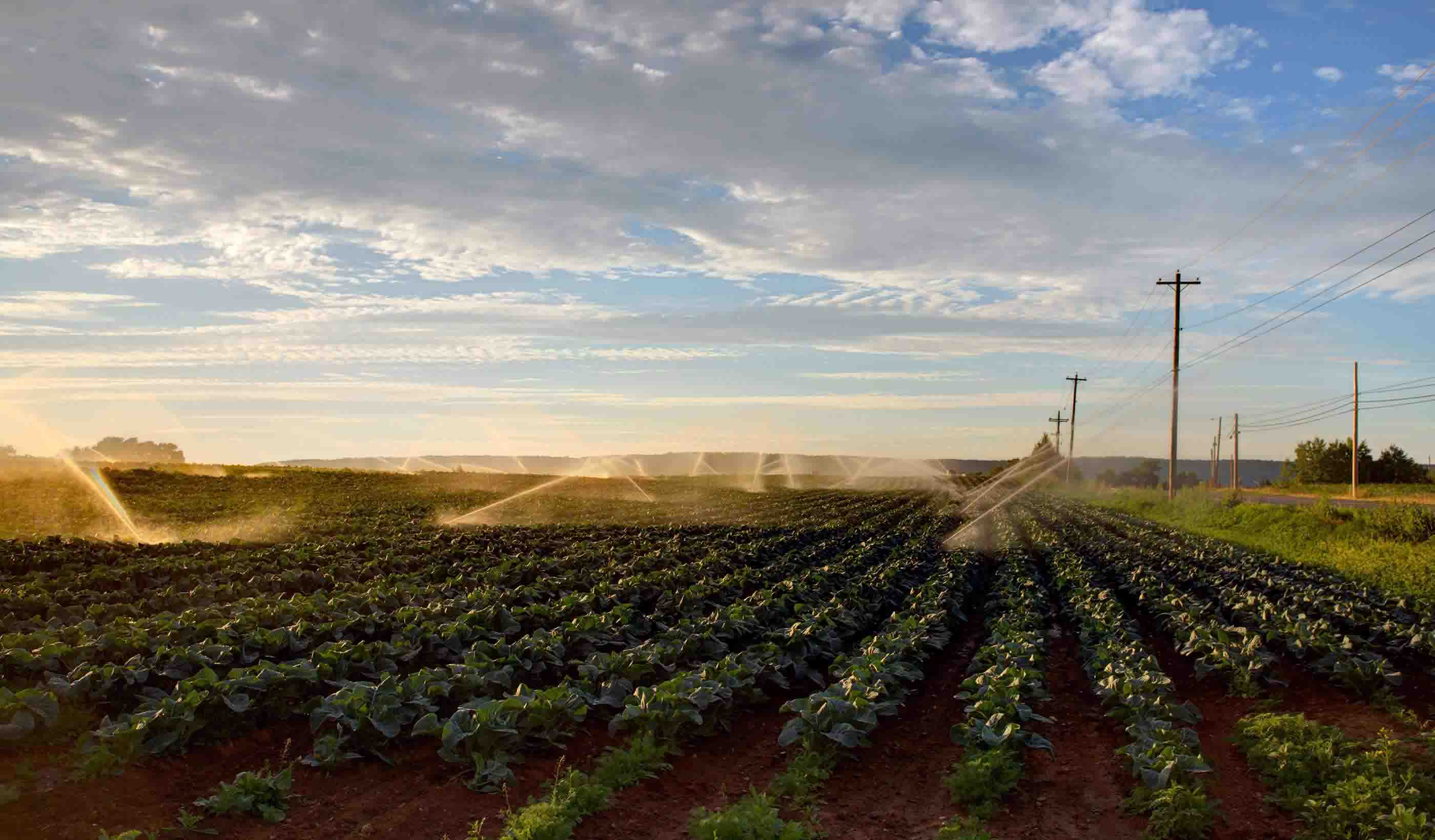 Navigating water security with increasing food demand