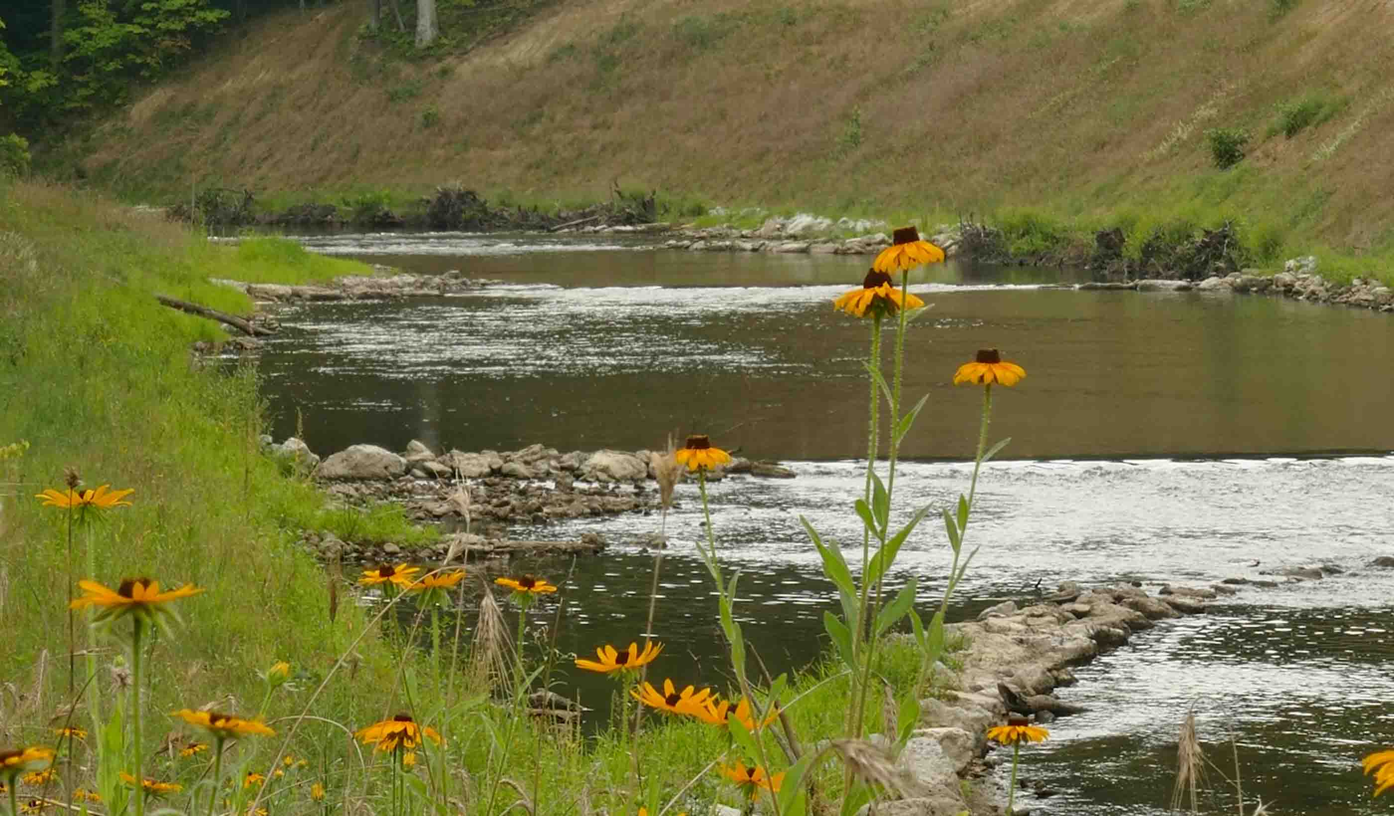 Mitigating flooding impacts through stream restoration